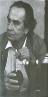 wilson ultimo